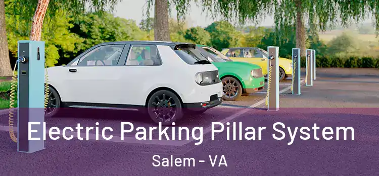  Electric Parking Pillar System Salem - VA